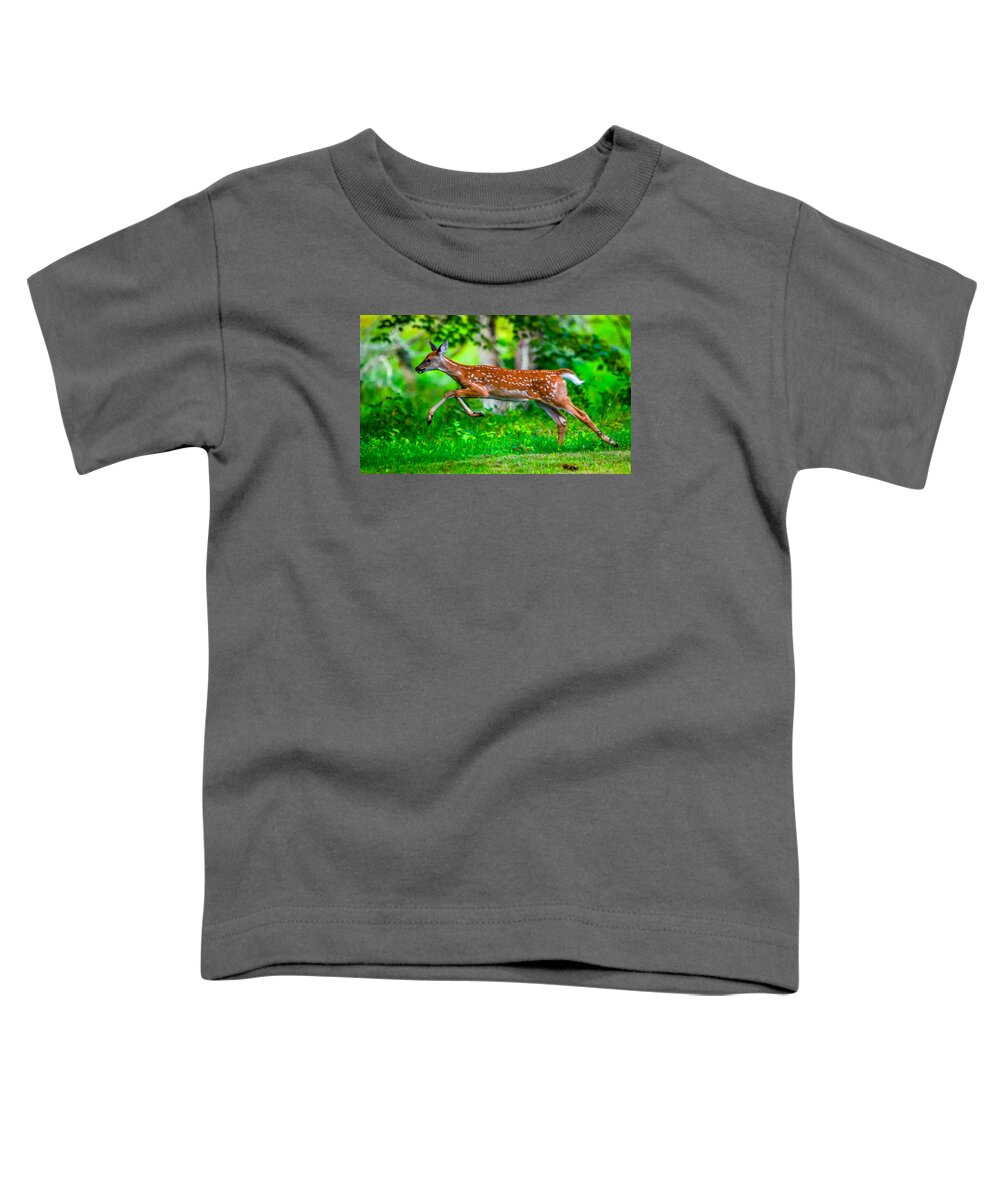  Toddler T-Shirt featuring the photograph Fast Fawn 2 by Brian Stevens