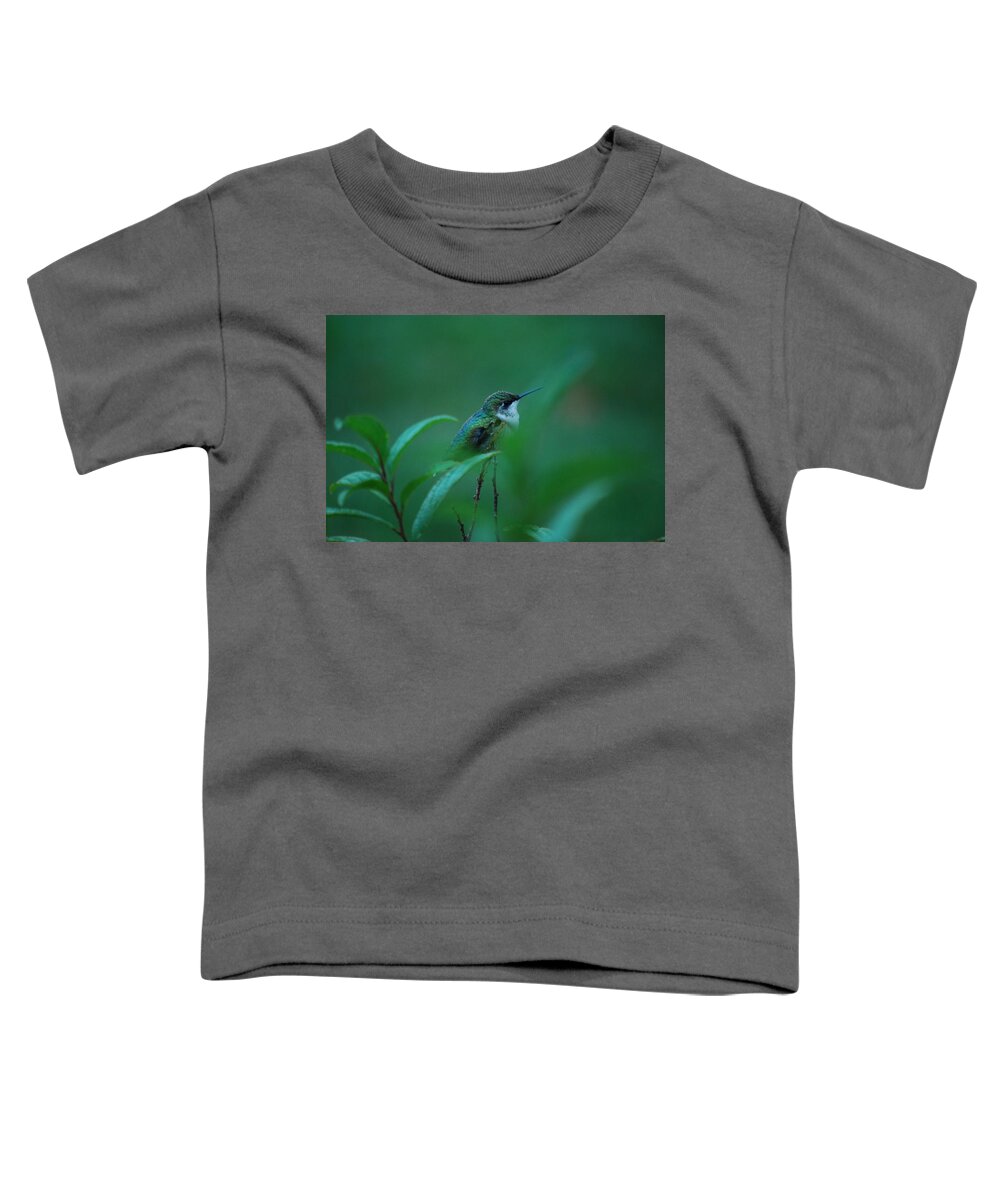 Hummingbird Toddler T-Shirt featuring the photograph Feeling Green by Lori Tambakis