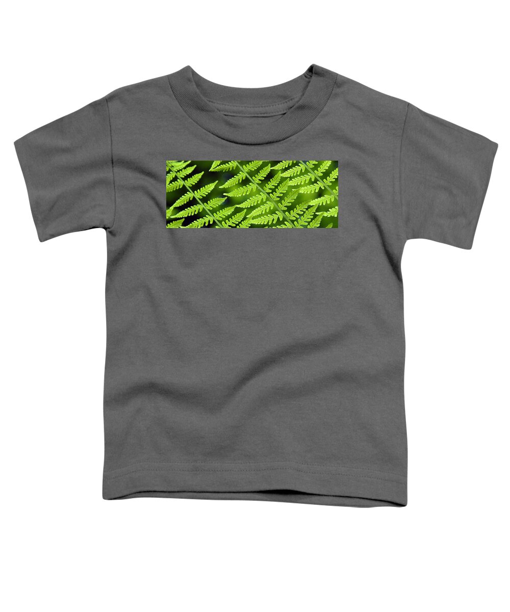 Fern Toddler T-Shirt featuring the photograph Fern Branches by Ted Keller