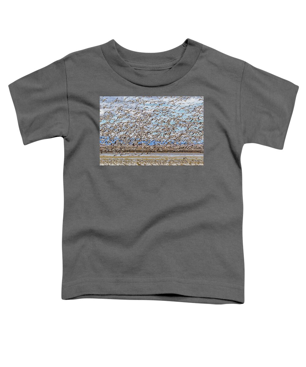 California Toddler T-Shirt featuring the photograph Fill the Sky by Marc Crumpler