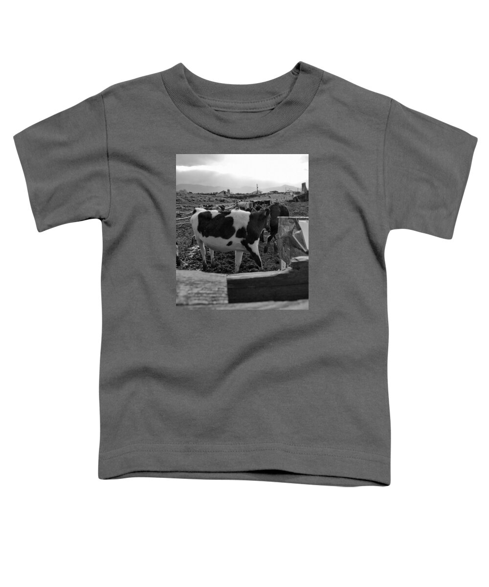 Acores Toddler T-Shirt featuring the photograph Fine Art Back and White207 by Joseph Amaral