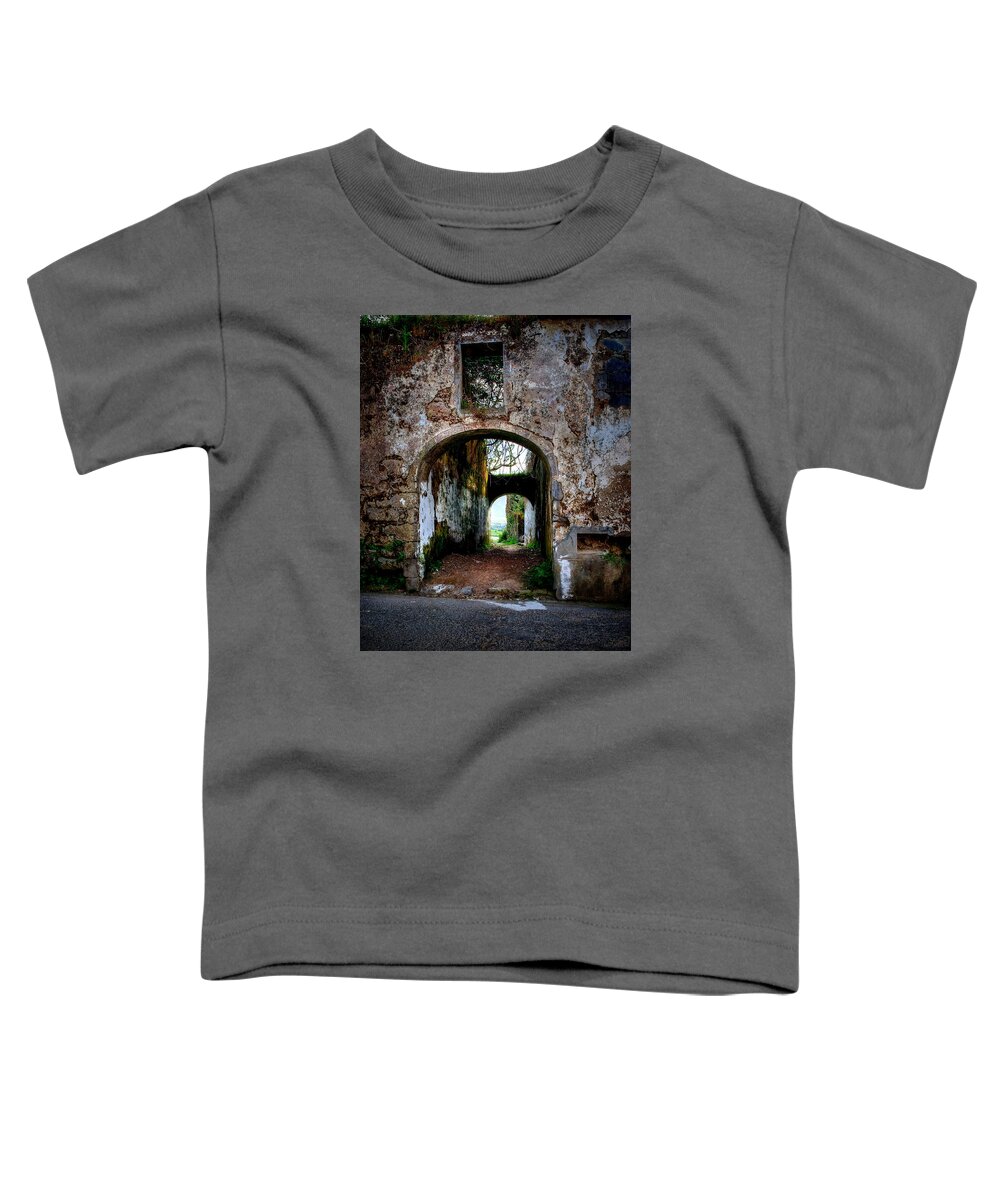 Azores Toddler T-Shirt featuring the photograph Fine Art Colour-114 by Joseph Amaral