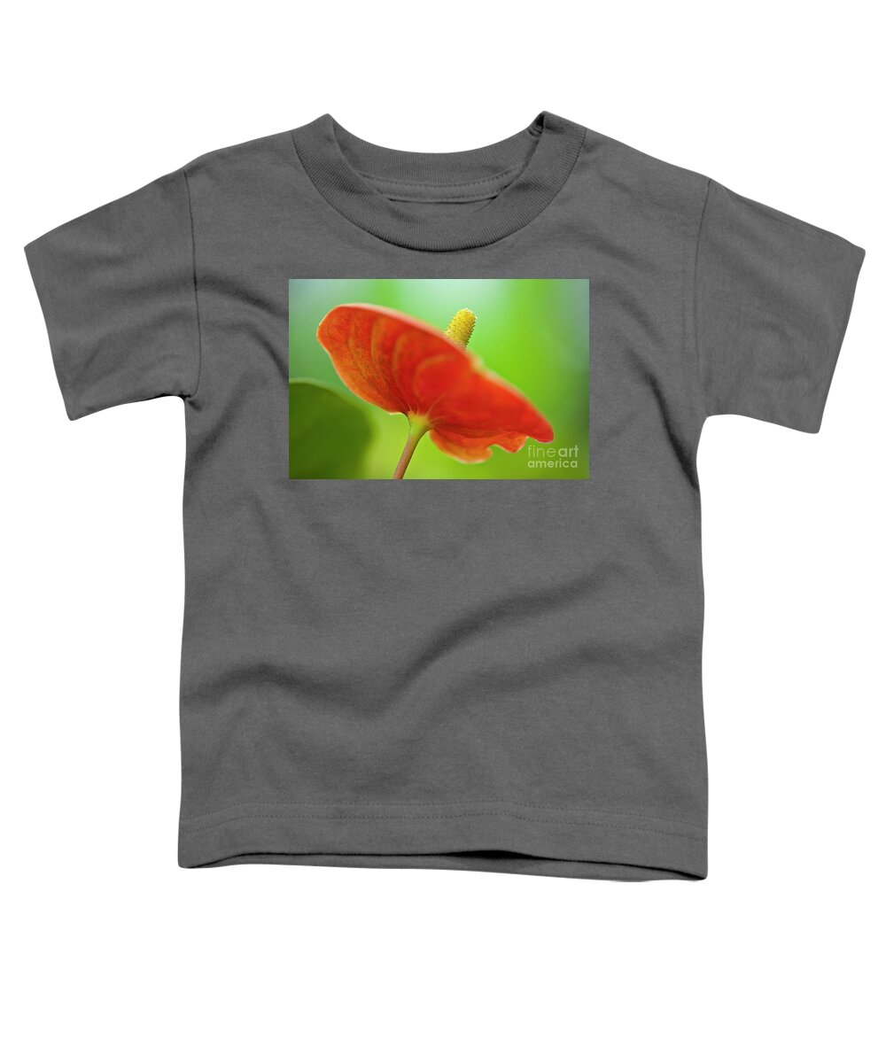 Anthurie Toddler T-Shirt featuring the photograph Flamingo Flower 2 by Heiko Koehrer-Wagner