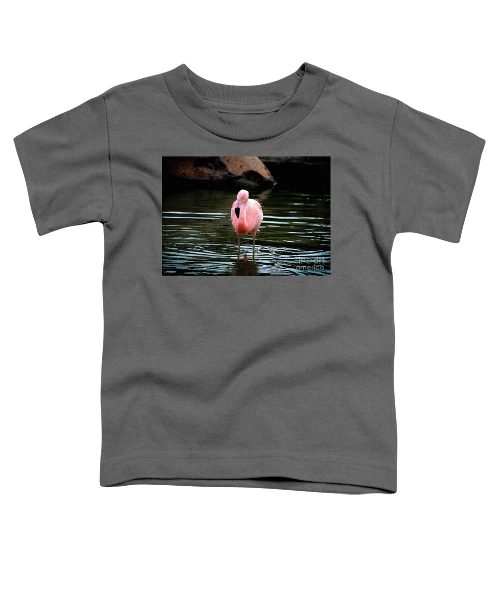 Flamingo Toddler T-Shirt featuring the photograph Flamingo in Water by Veronica Batterson