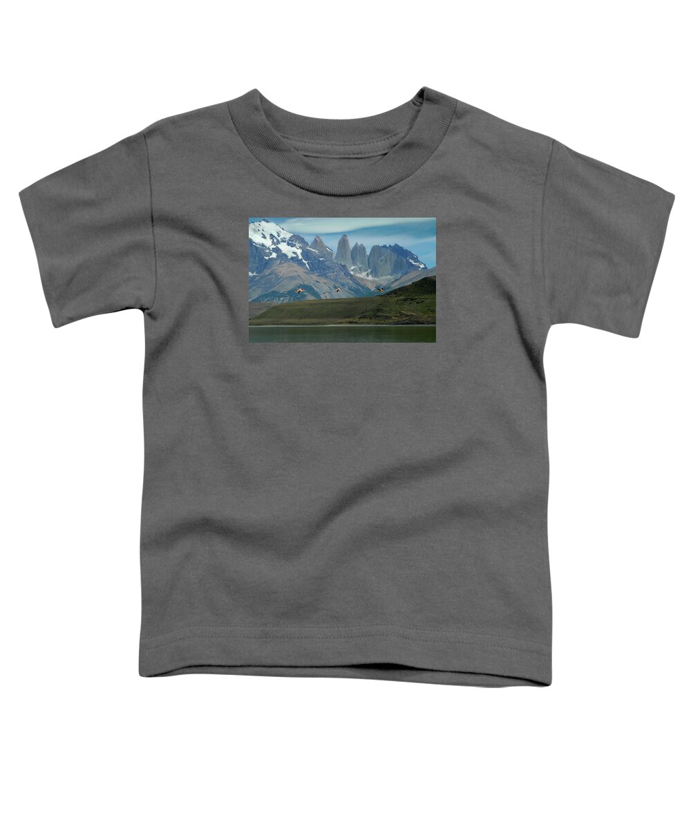 Chile Toddler T-Shirt featuring the photograph Flamingos Over Lago Nordenskjold by Alan Toepfer