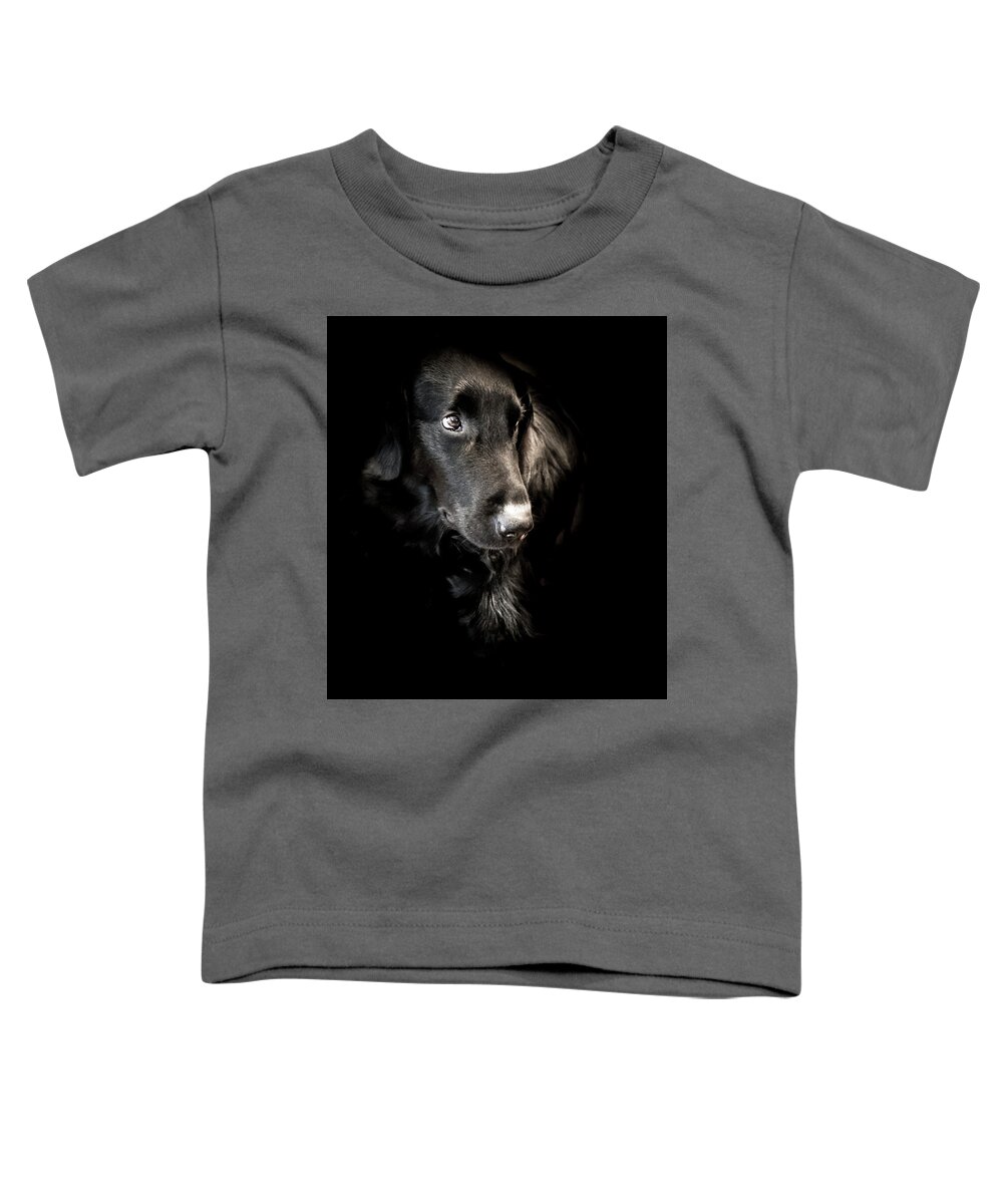Dog Toddler T-Shirt featuring the photograph Flat Coated Retriever by Allin Sorenson