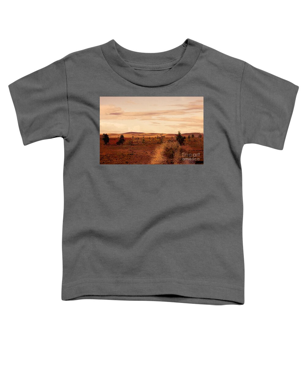 Morocco Toddler T-Shirt featuring the photograph Flat Land Scenic Morocco View from Train Window by Chuck Kuhn