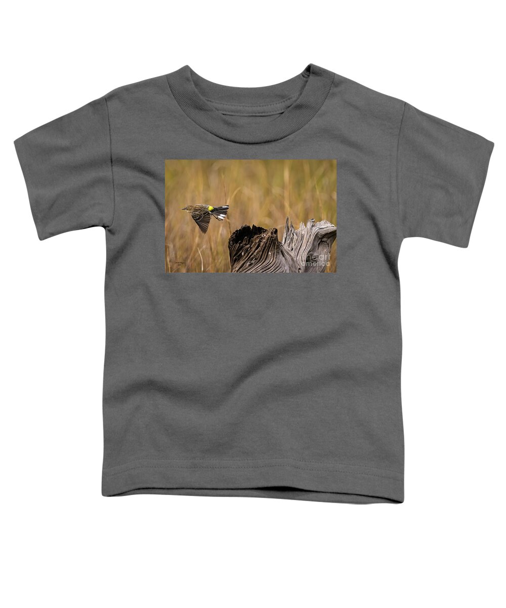 Warbler Toddler T-Shirt featuring the photograph Flight Of The Driftwood Butterbutt by DB Hayes
