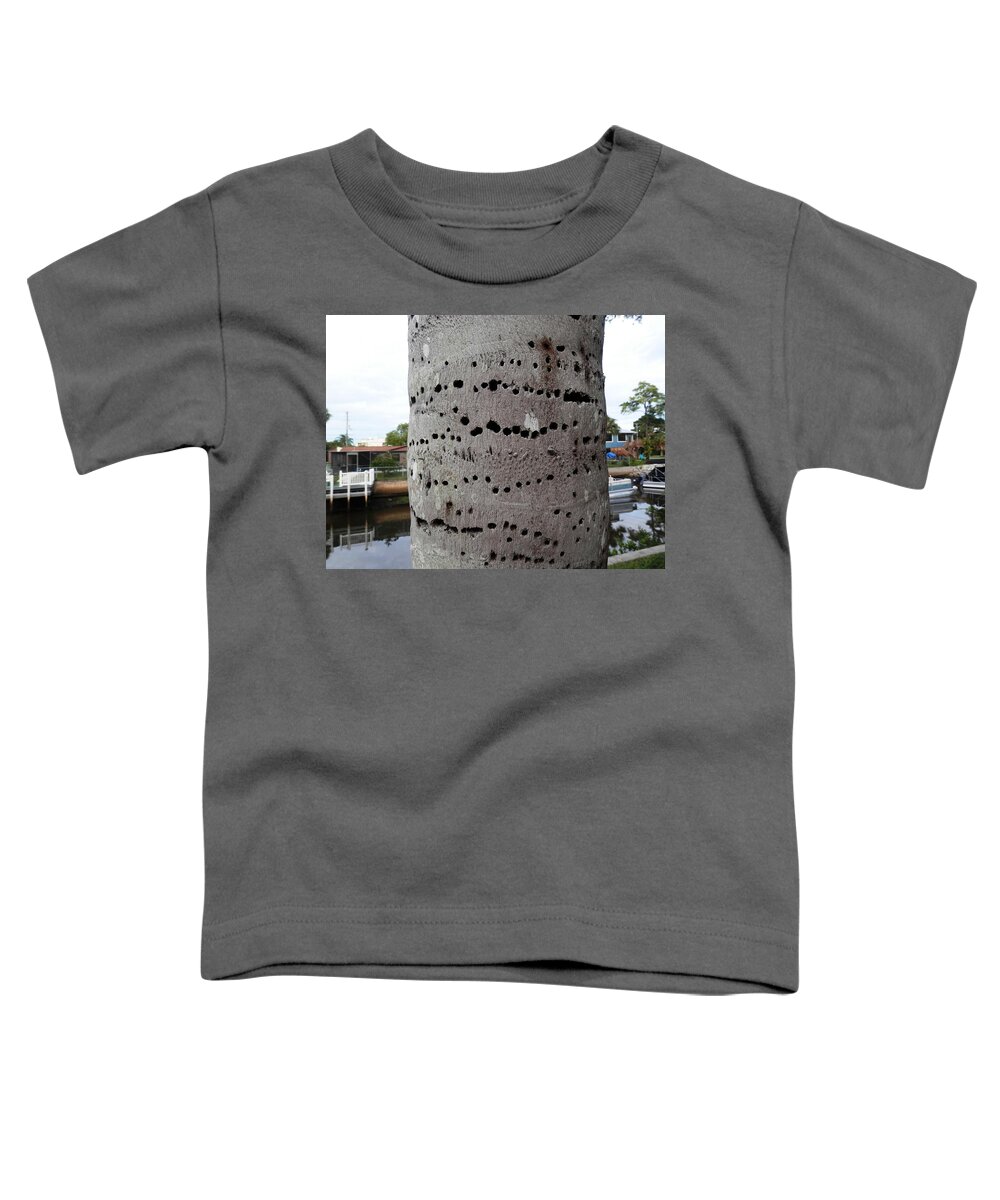 #crazy #woodpecker #holes On #palm Tree In #port Richey #florida #canal Side Toddler T-Shirt featuring the photograph Florida Palm Pecked by Woodpecker by Belinda Lee