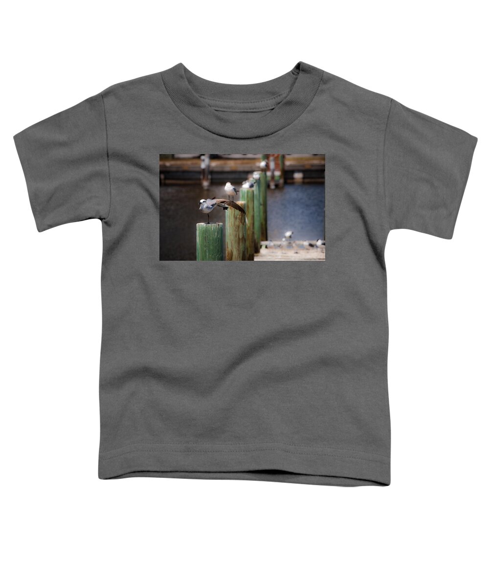 Florida Toddler T-Shirt featuring the photograph Florida Seagull Playing by Jason Moynihan