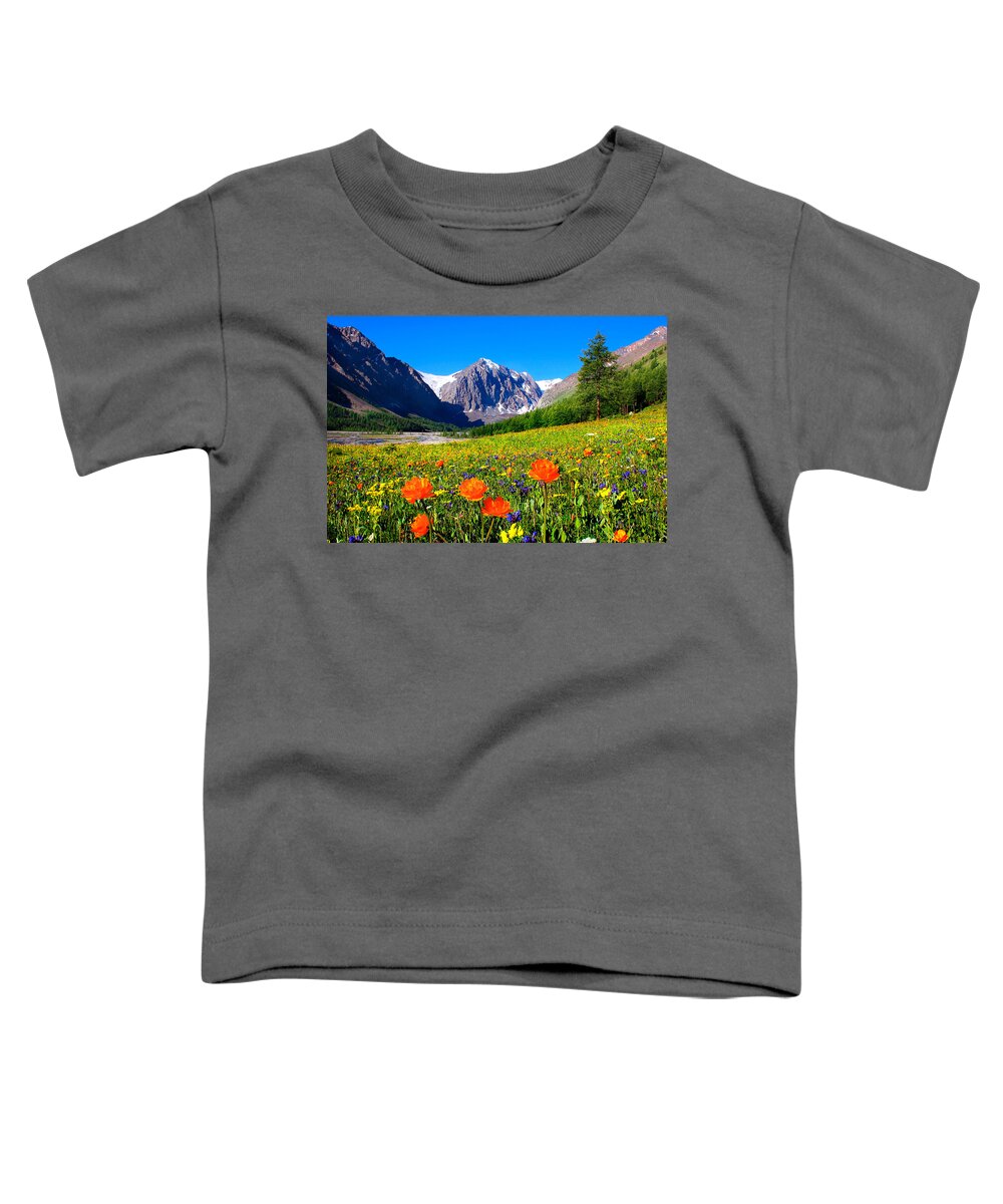Russian Artists New Wave Toddler T-Shirt featuring the photograph Flowering Valley. Mountain Karatash by Victor Kovchin