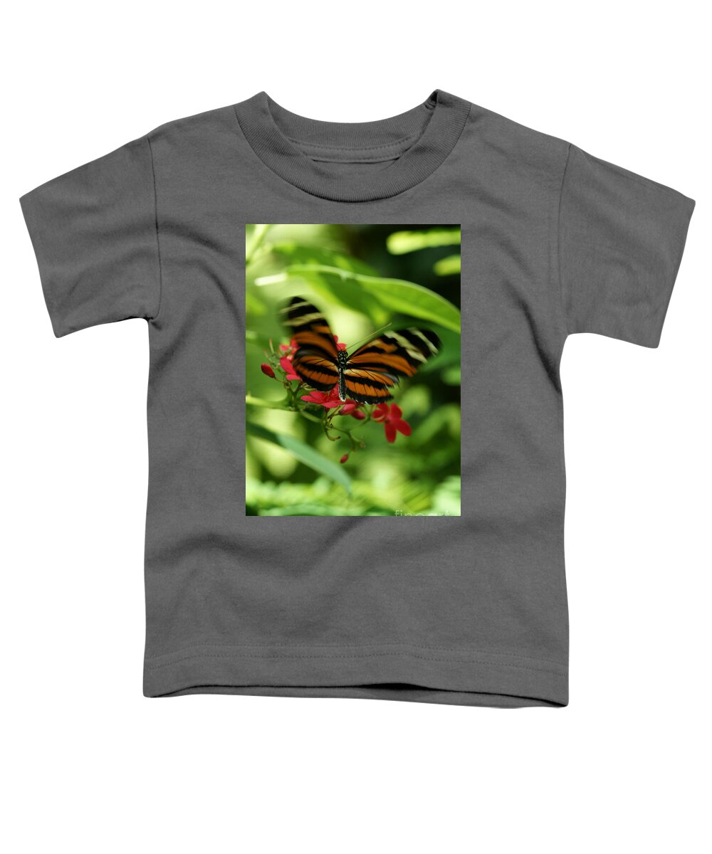 Butterfly Toddler T-Shirt featuring the photograph Flutterby by Linda Shafer