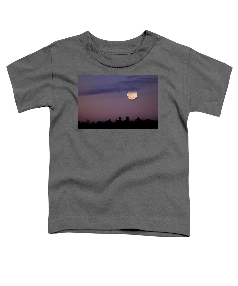 Moon Toddler T-Shirt featuring the photograph Fly by Night by Bill Wakeley