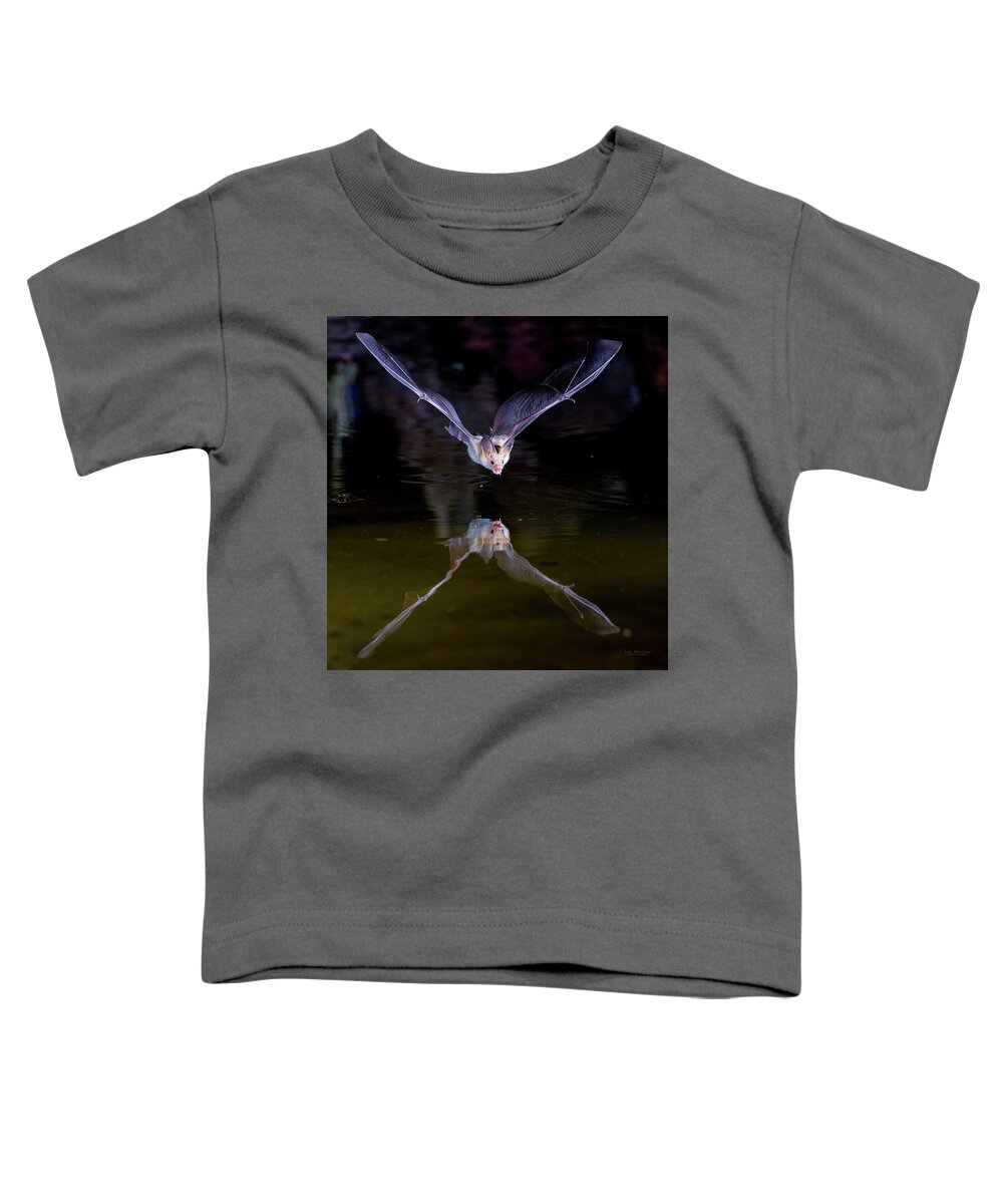Bat Toddler T-Shirt featuring the photograph Flying Bat with Reflection by Judi Dressler