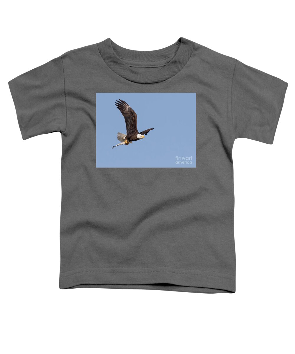 Bald Eagle Toddler T-Shirt featuring the photograph Flying Fish by Art Cole
