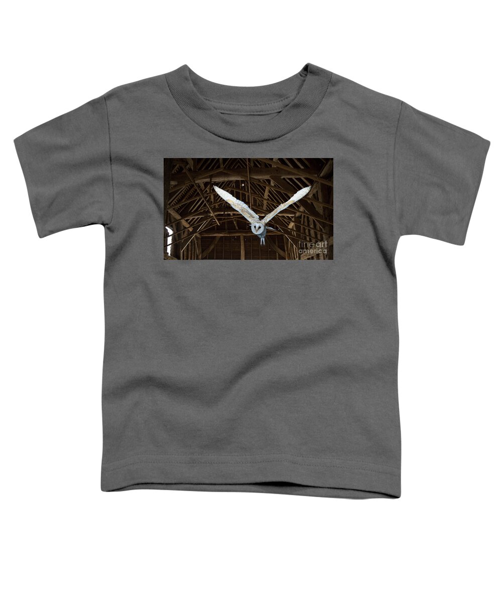 Barn Owl Toddler T-Shirt featuring the photograph Flying in the Barn by Warren Photographic