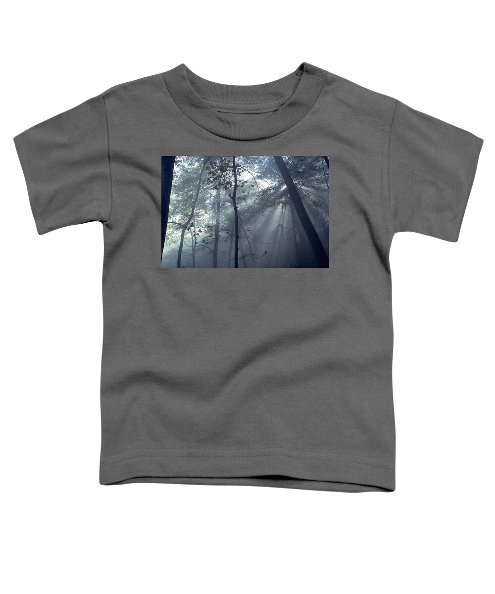 Forest Toddler T-Shirt featuring the photograph Fog Braids The Sunlight by Sven Brogren