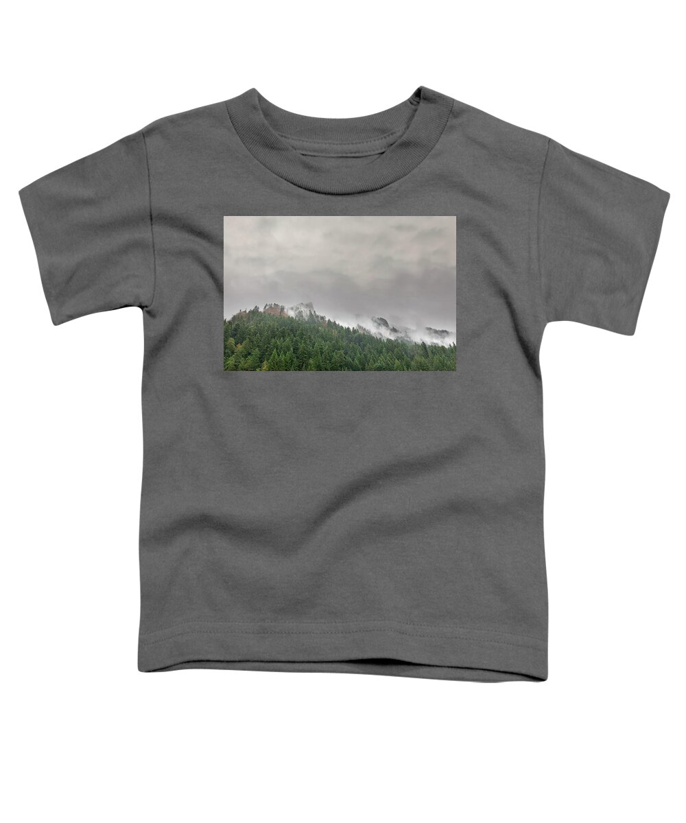 Columbia River Toddler T-Shirt featuring the photograph Fog Rolling over Columbia River Gorge by David Gn