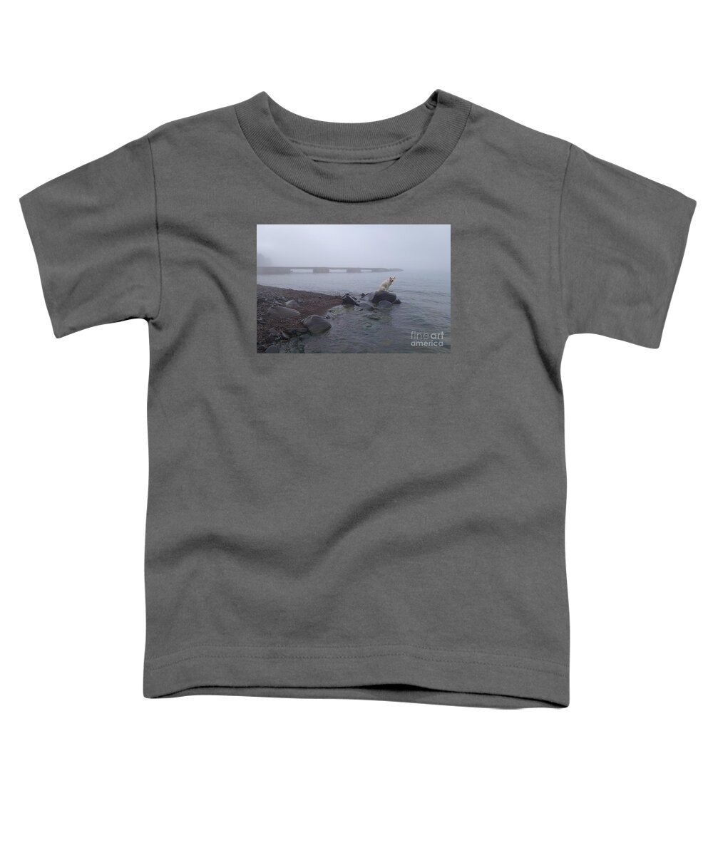 Hovland Dock Toddler T-Shirt featuring the photograph Foggy Day at the Hovland Dock by Sandra Updyke