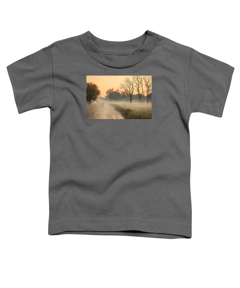 Illinois Toddler T-Shirt featuring the photograph Foggy Fall Morning on Gary Avenue by Joni Eskridge