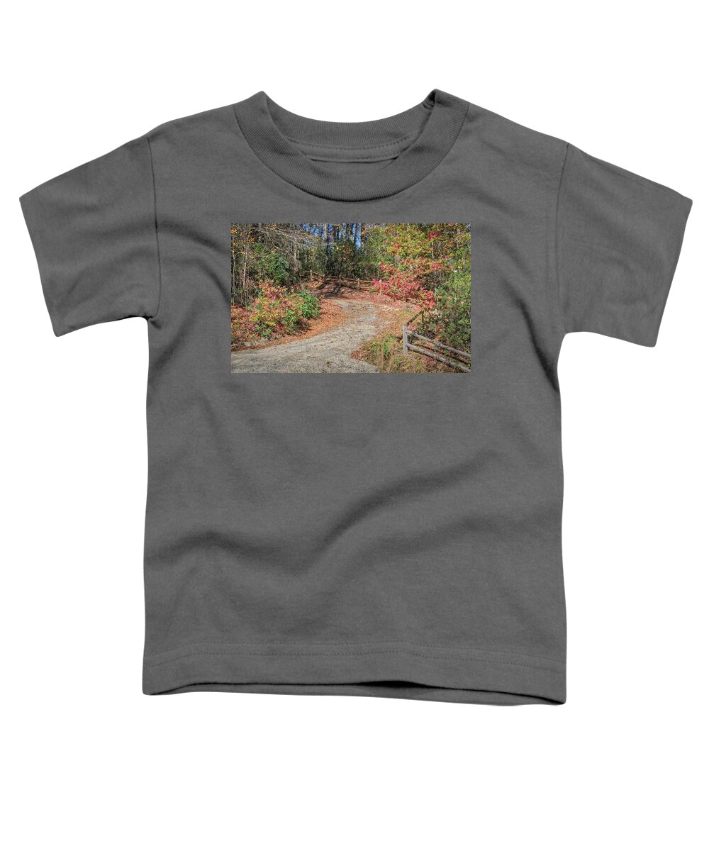 Brevard Toddler T-Shirt featuring the photograph Follow the path by Jane Luxton