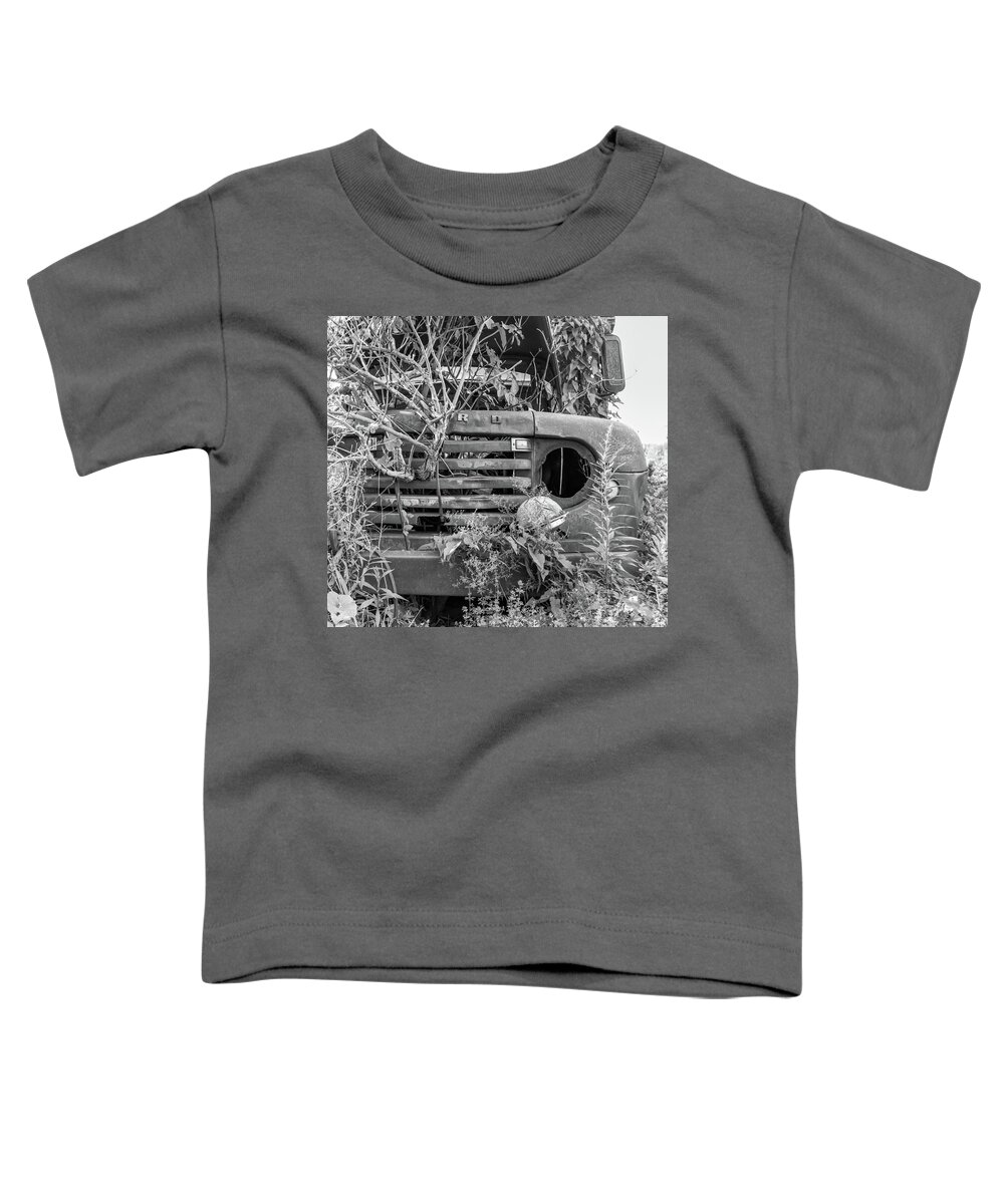 Dansville Ny Toddler T-Shirt featuring the photograph Ford forgot in nature by Nick Mares