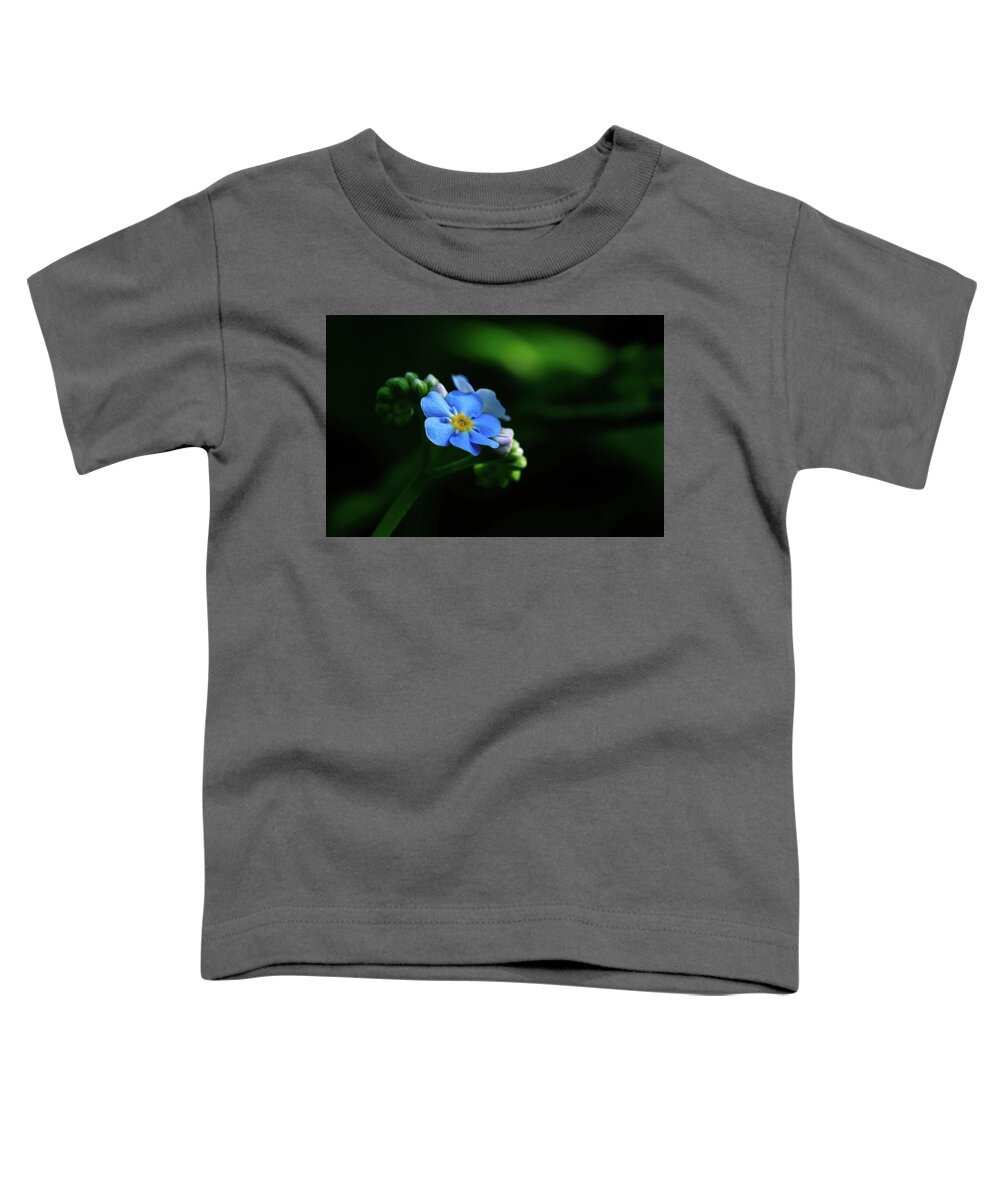 Forget-me-not Toddler T-Shirt featuring the photograph Forget-me-not by Rob Davies