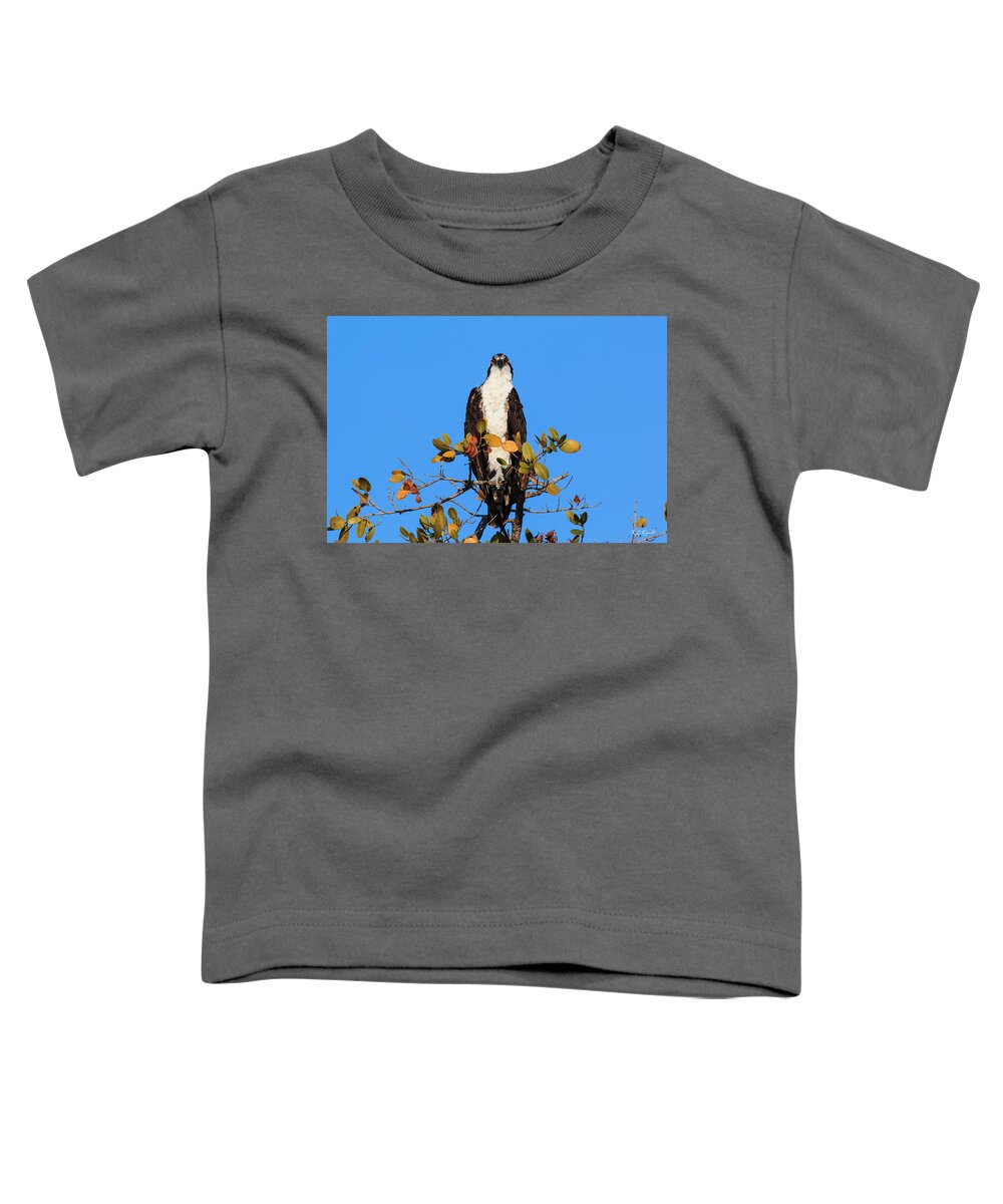 Florida Toddler T-Shirt featuring the photograph Fort Myers Beach Bird Tour - Osprey with Eyes on You by Ronald Reid