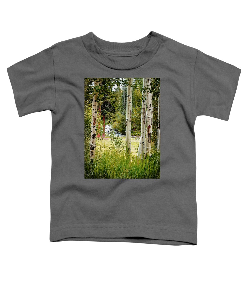 Trees Toddler T-Shirt featuring the photograph Framed By Aspens by John Anderson