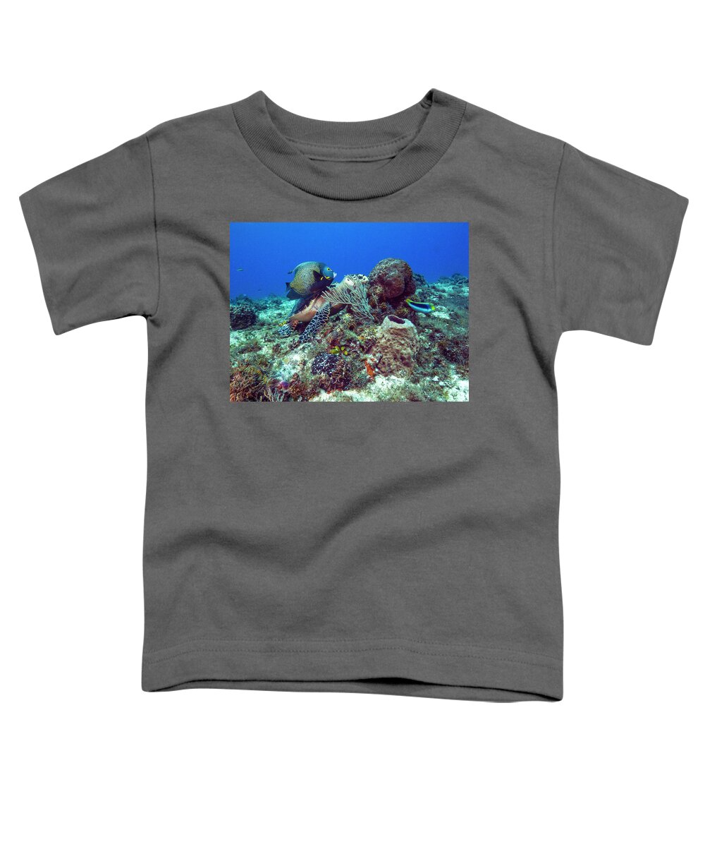 Ocean Toddler T-Shirt featuring the photograph French Angelfish and the Green Turtle by Matt Swinden