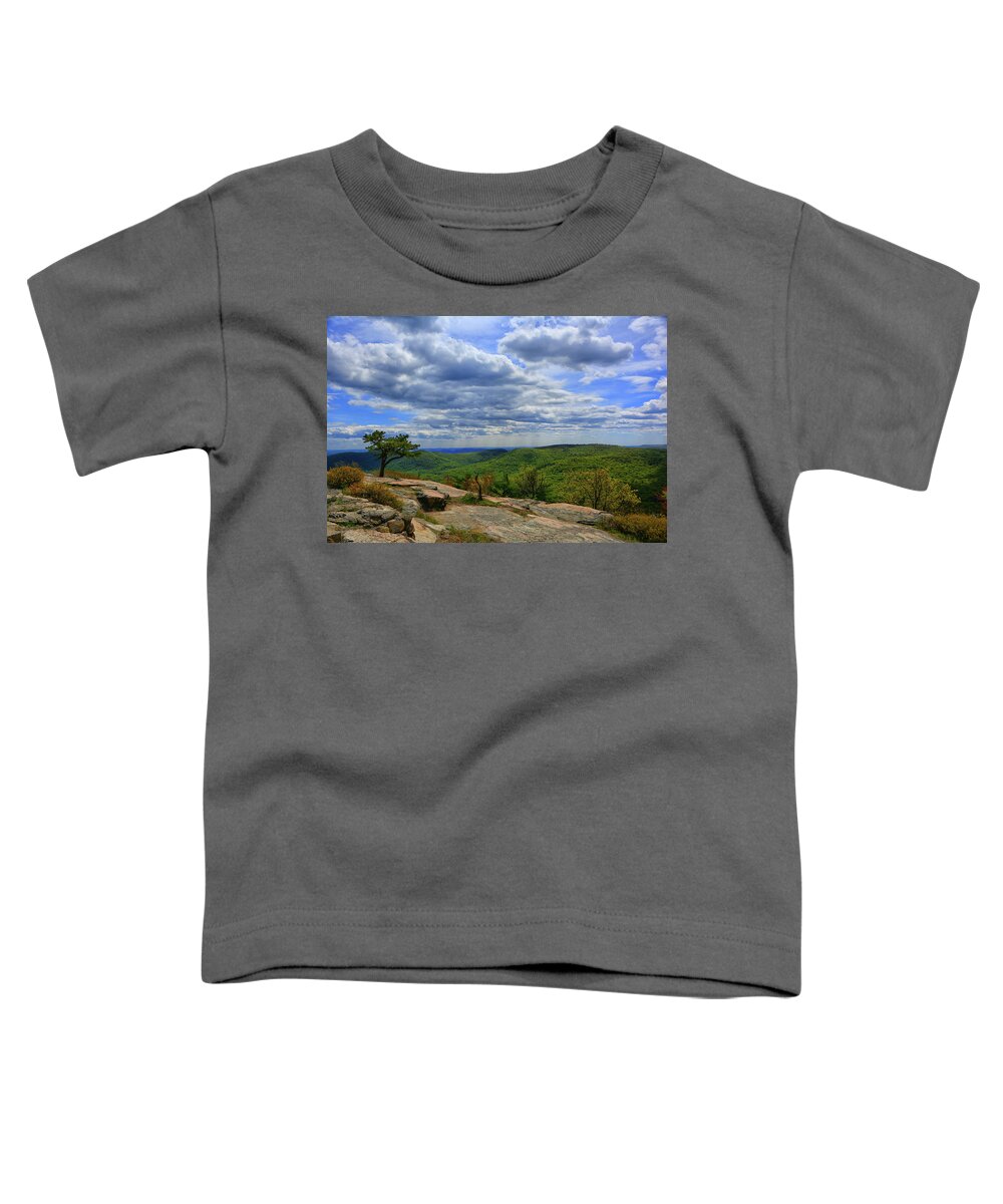 From Bear Mountain Looking At The Nyc Skyline Toddler T-Shirt featuring the photograph From Bear Mountain Looking at the NYC Skyline by Raymond Salani III