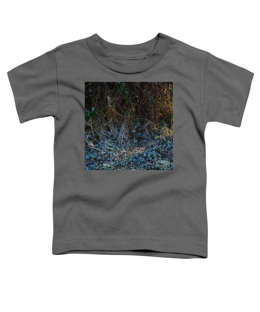 Dawn Frostings Toddler T-Shirt featuring the photograph Frostings 2 by Paul Davenport