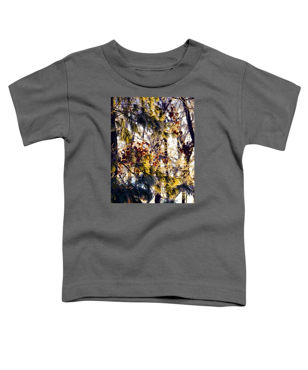 Nature Toddler T-Shirt featuring the photograph Frozen Pine Sunrise by Sam Davis Johnson