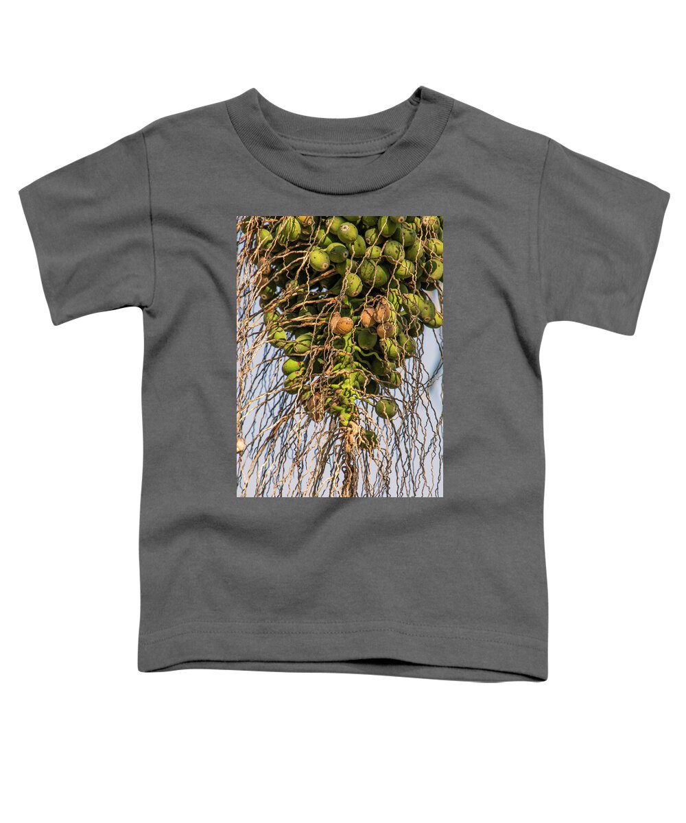 Agriculture Toddler T-Shirt featuring the photograph Fruits of a Date Tree by Adriana Zoon
