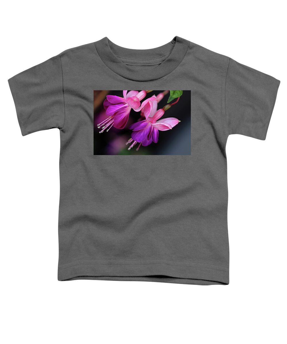Fuchsia Toddler T-Shirt featuring the photograph Fuchsias in bloom by Vanessa Thomas