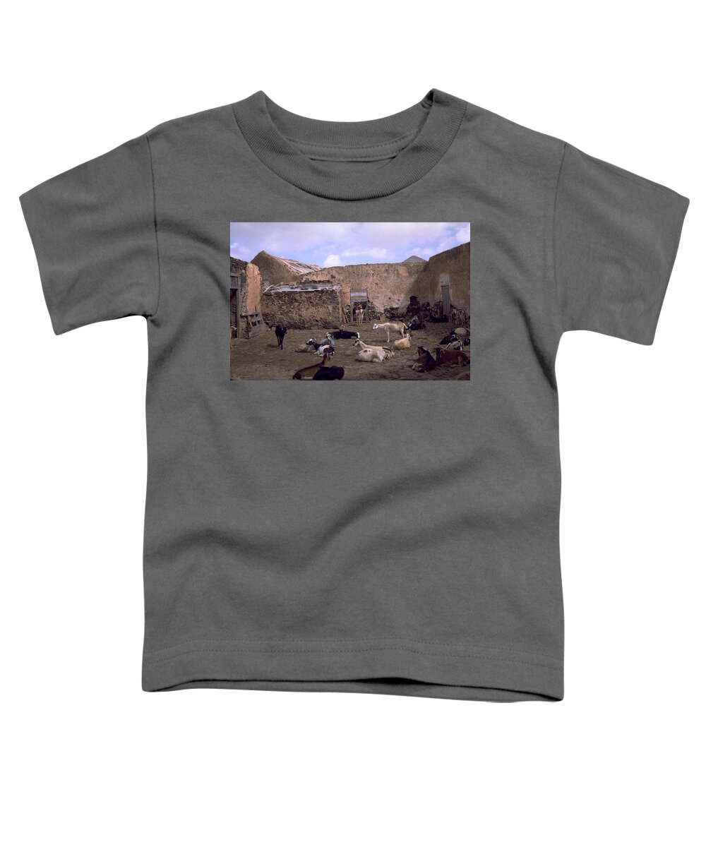 Fuerteventura Toddler T-Shirt featuring the photograph Fuerteventura III by Flavia Westerwelle