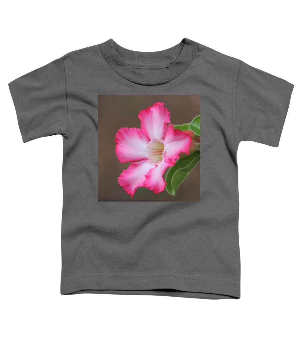 Flower Toddler T-Shirt featuring the photograph Full Bloom by Pamela Walton
