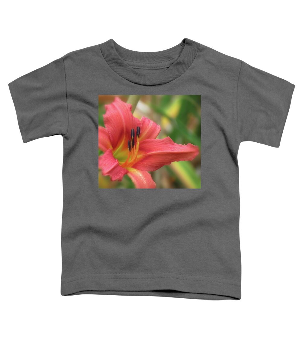 H. Fulva Rosea Toddler T-Shirt featuring the photograph Fulva Rosea Rebloom - Daylily by MTBobbins Photography