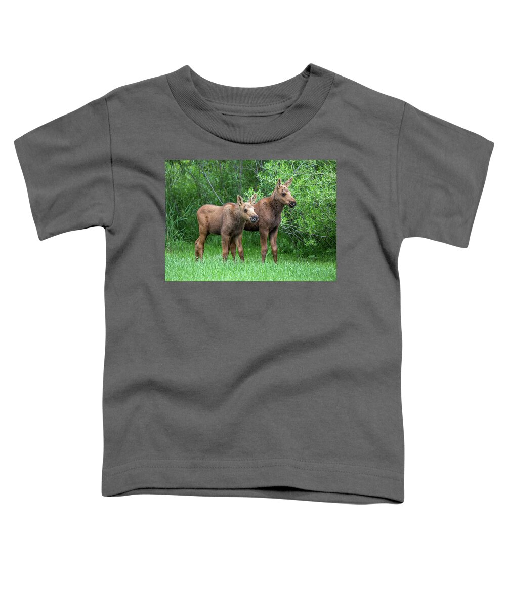 Moose Toddler T-Shirt featuring the photograph Future King by Kevin Dietrich