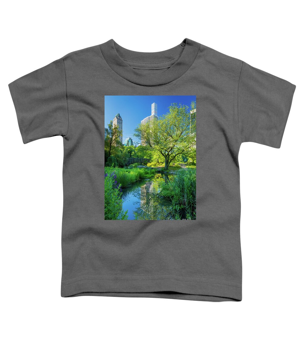 America Toddler T-Shirt featuring the photograph Gapstow Bridge by Inge Johnsson