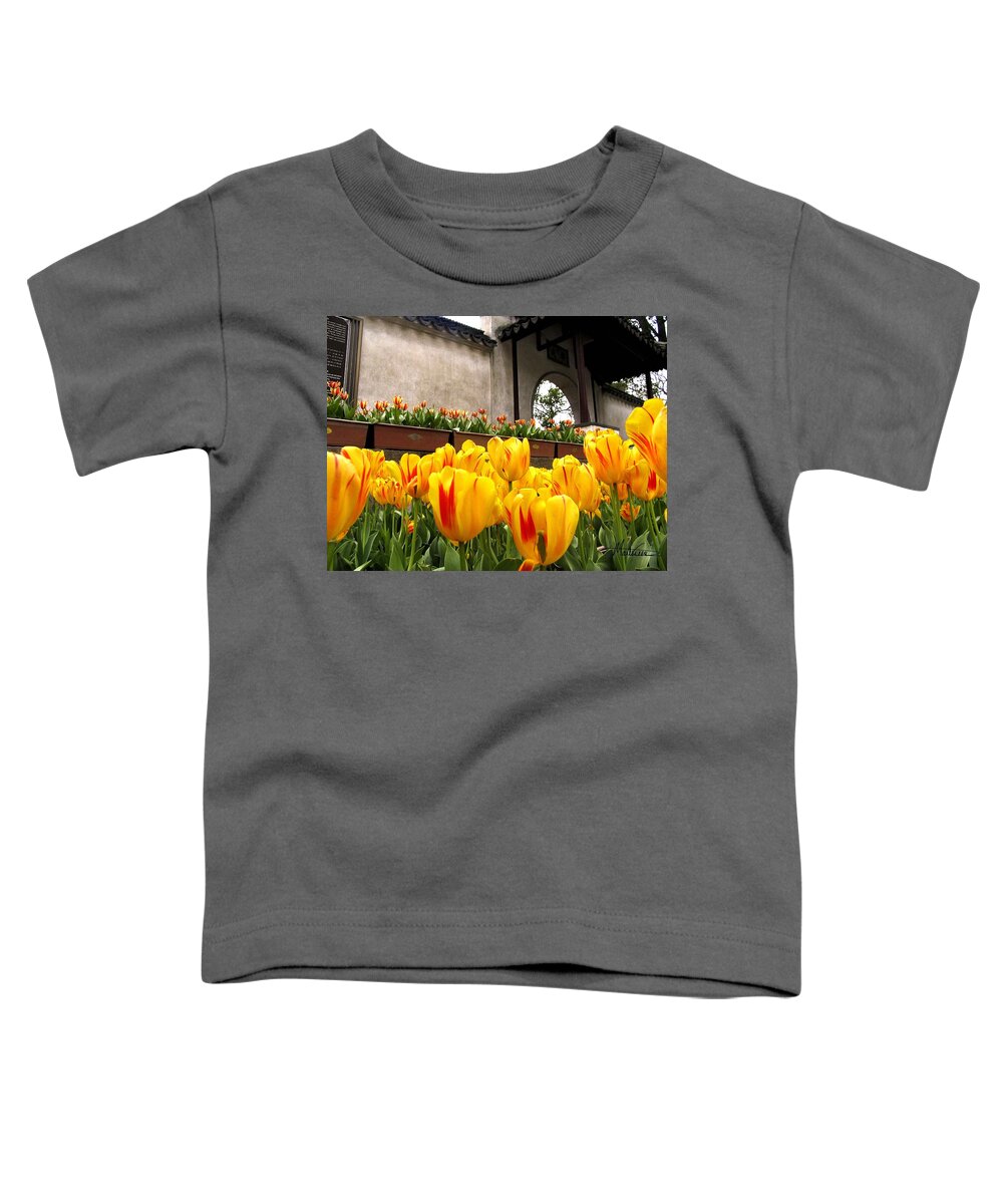 China Toddler T-Shirt featuring the photograph Garden in Hangzhou by Marti Green