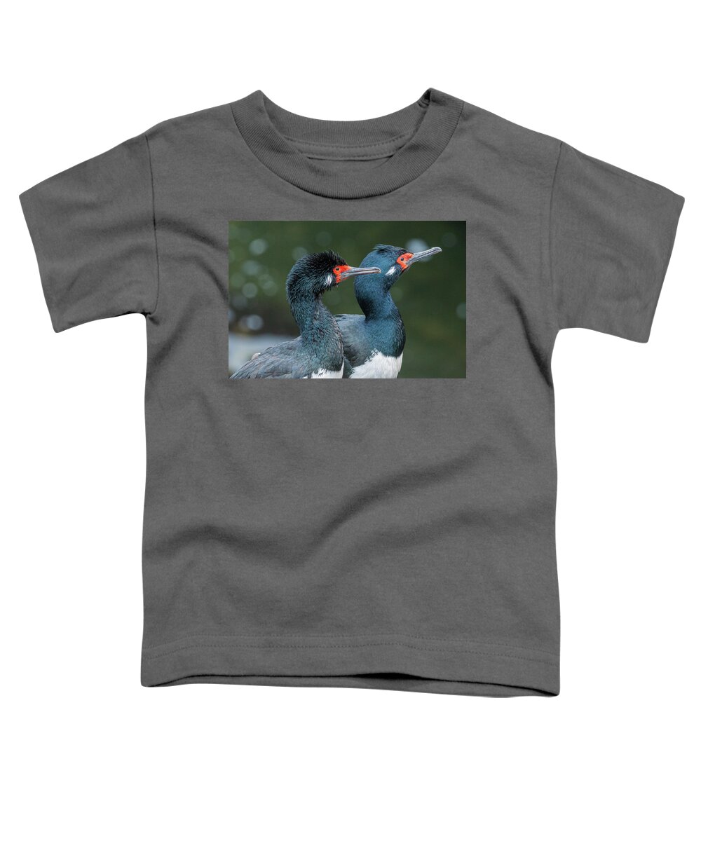 Birds Toddler T-Shirt featuring the photograph Gazing into the future. by Usha Peddamatham