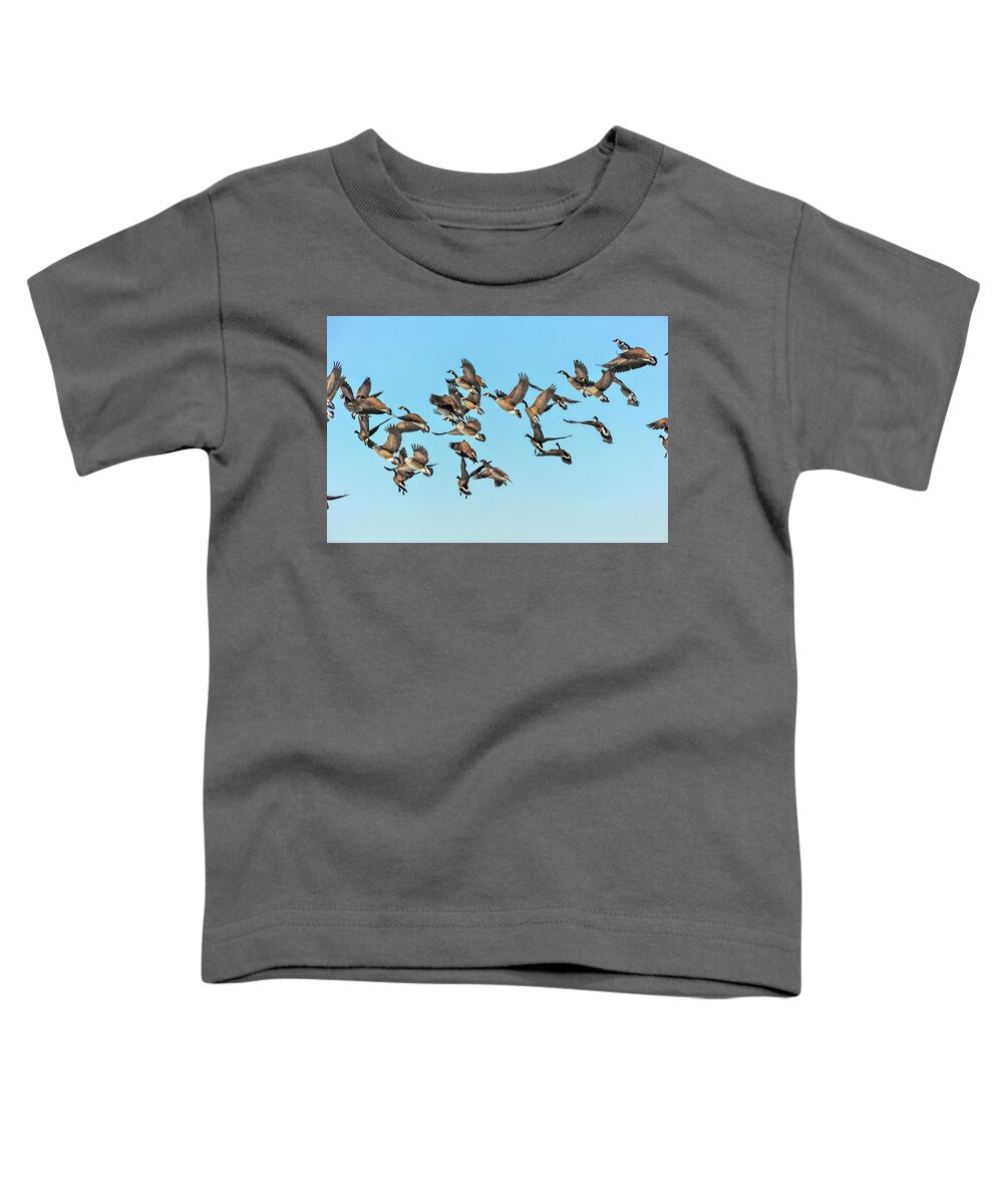 Branta Toddler T-Shirt featuring the photograph Geese in flight by Patrick Wolf
