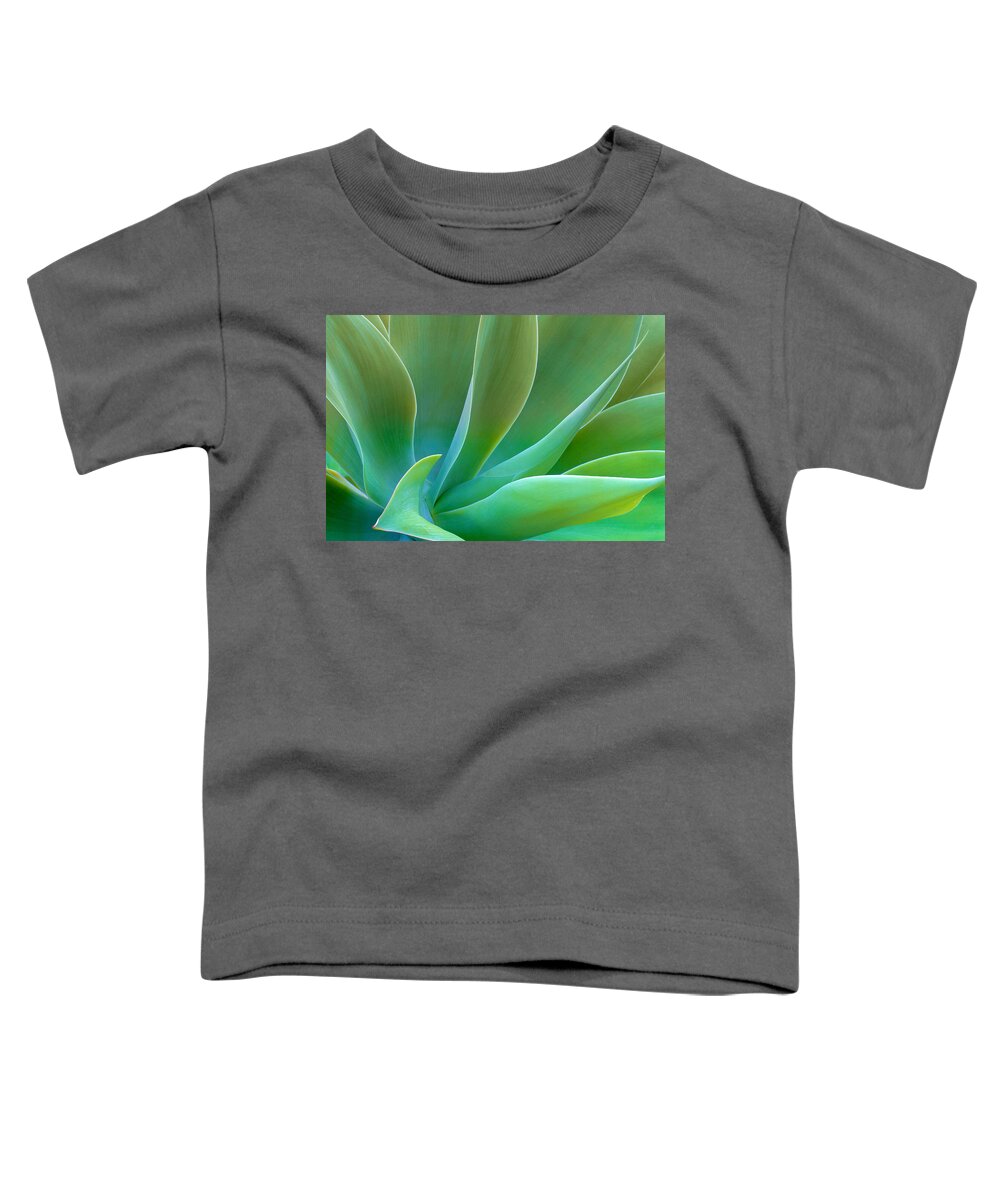 Agave Toddler T-Shirt featuring the photograph Gentle Curves of Agave attenuata by Ram Vasudev