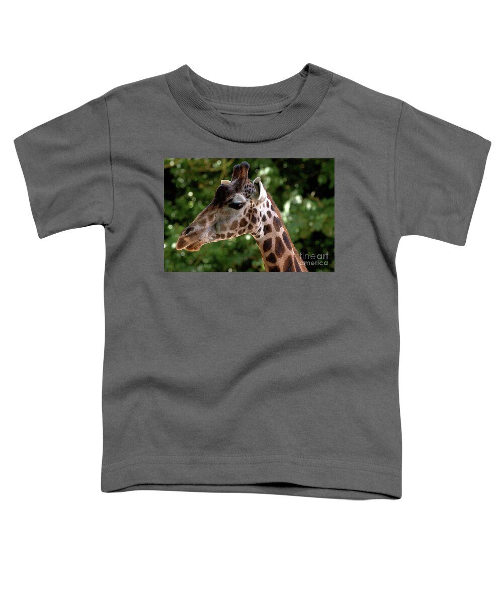 Tall Toddler T-Shirt featuring the photograph Giraffe Portrait by Baggieoldboy