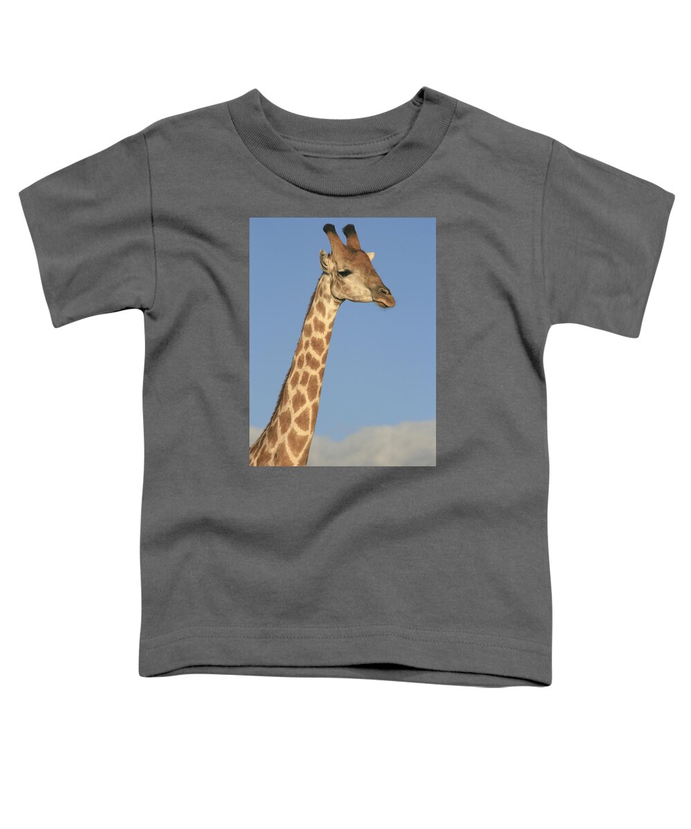 Karen Zuk Rosenblatt Art And Photography Toddler T-Shirt featuring the photograph Giraffe Portrait by Karen Zuk Rosenblatt