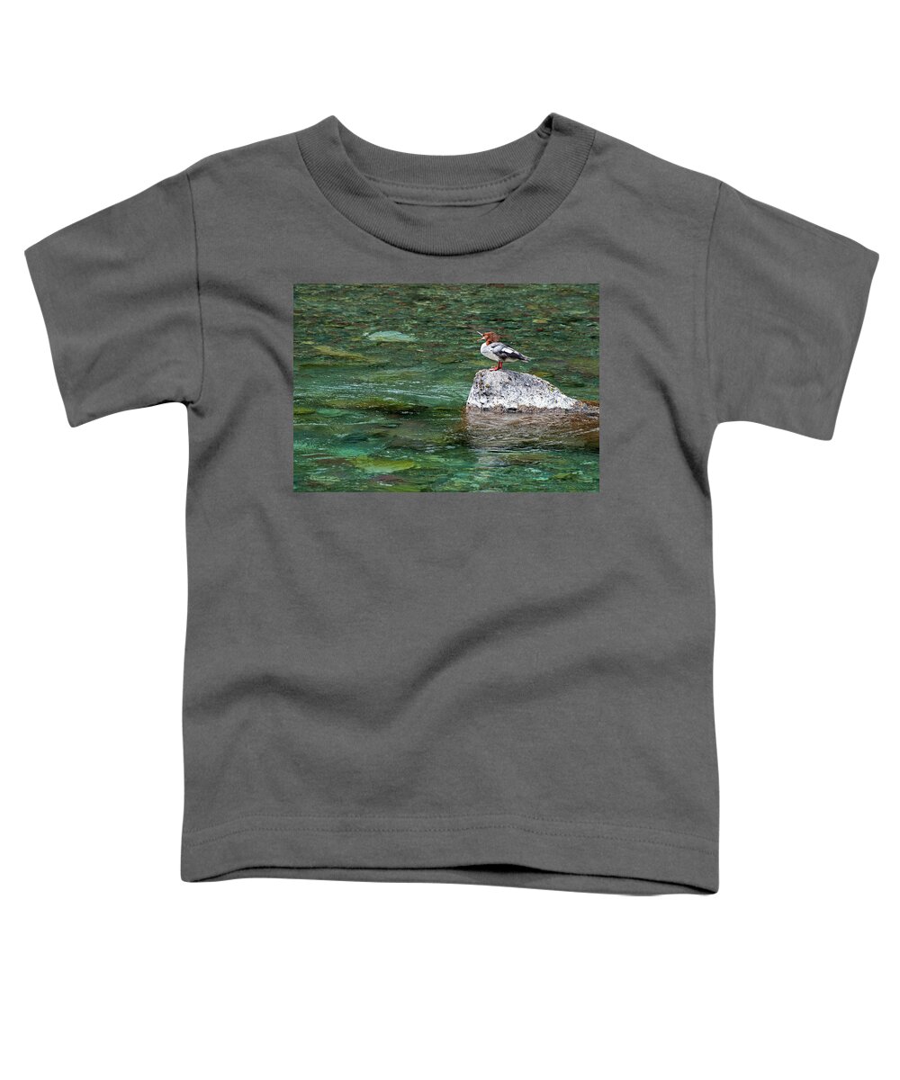 Scenic Toddler T-Shirt featuring the photograph Female Common Merganser by Doug Davidson