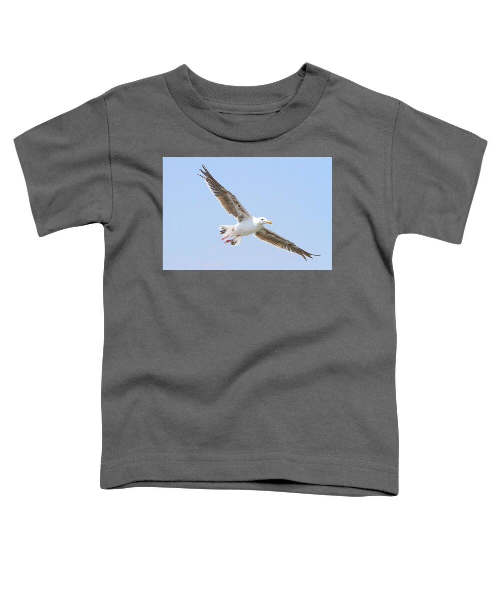 Western Gull Toddler T-Shirt featuring the photograph Gliding Gull by Shoal Hollingsworth
