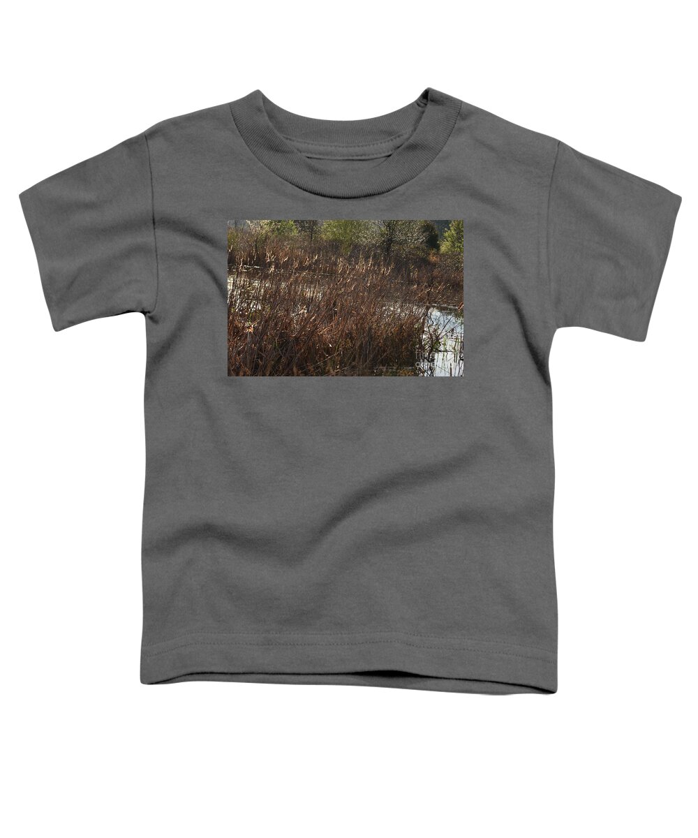 Glistens With Gold Toddler T-Shirt featuring the photograph Glistens With Gold by Maria Urso