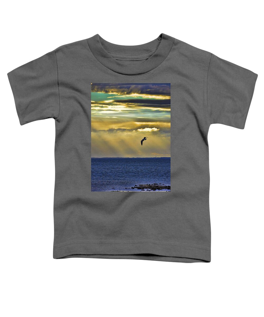 Sunsets Toddler T-Shirt featuring the photograph Glorious Evening by Jan Amiss Photography